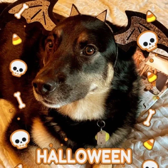 Offers‎ Welcome - Picture 2 of 10